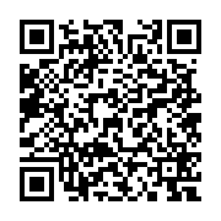 QR code for 3225699