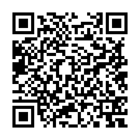 QR code for 3228338
