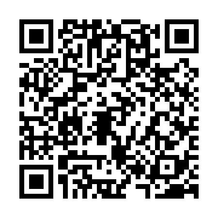QR code for 3231381