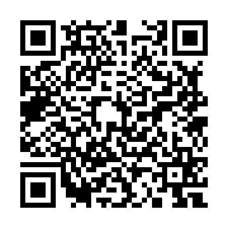 QR code for 3238656