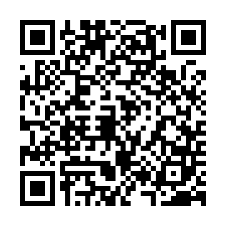 QR code for 3239428