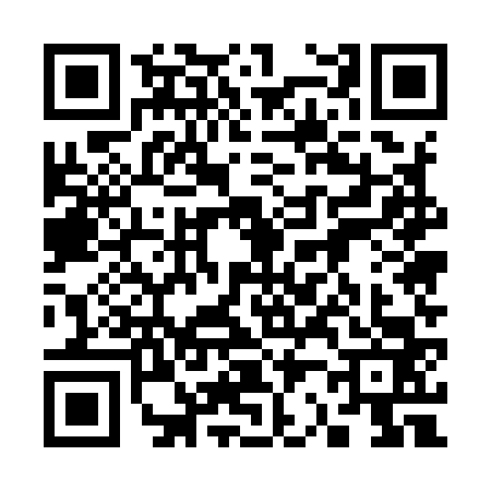 QR code for 3259638