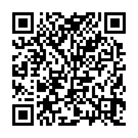 QR code for 331333