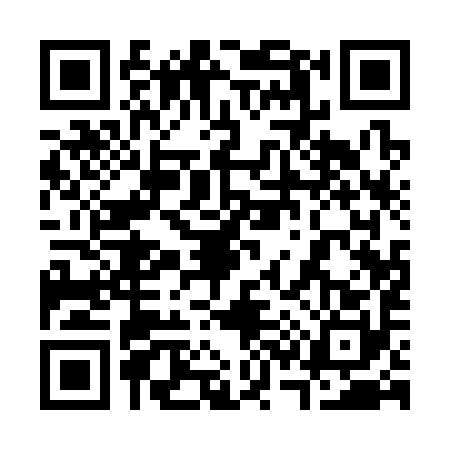 QR code for 3313904