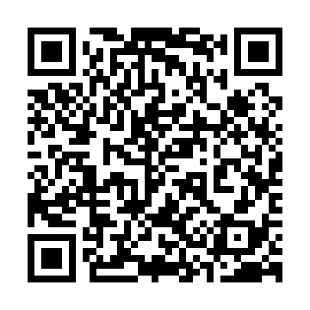 QR code for 333138