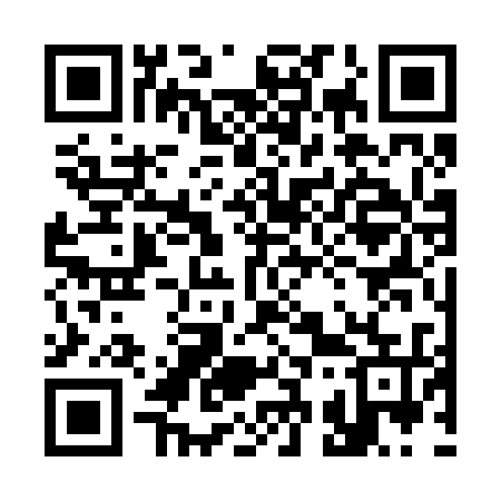 QR code for 333235