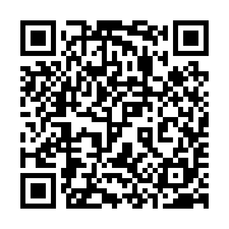 QR code for 333295