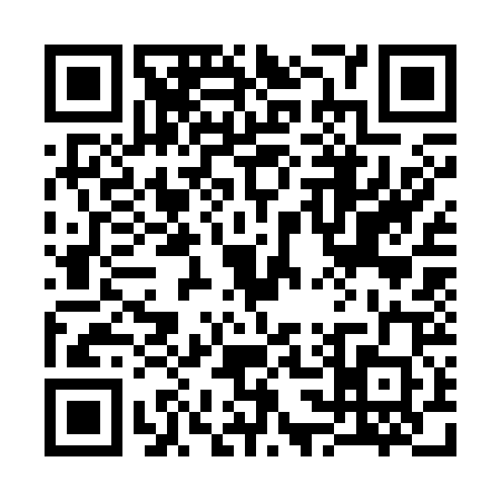 QR code for 3333208