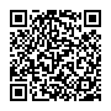 QR code for 333475