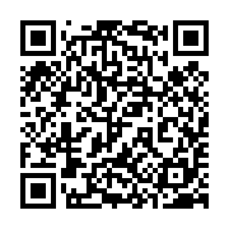 QR code for 333495