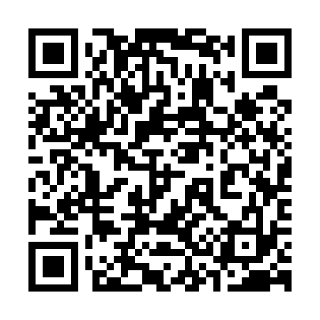 QR code for 333533