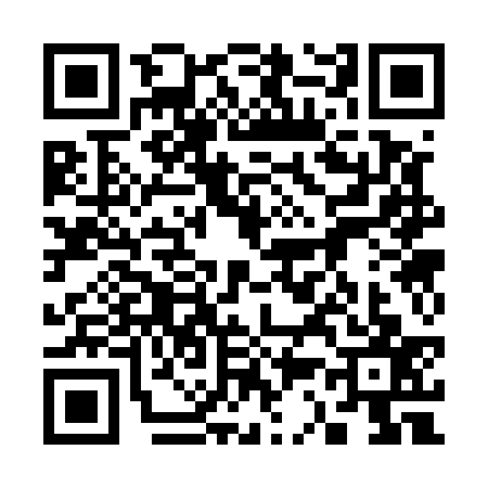QR code for 3335377