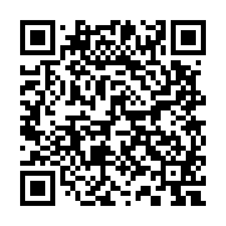 QR code for 333581