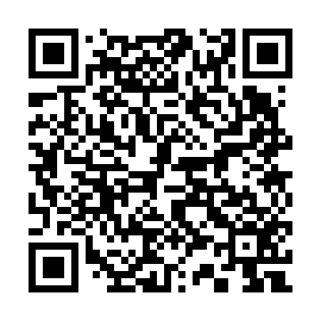 QR code for 333656
