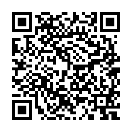 QR code for 3336811