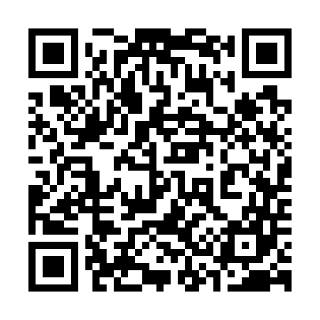 QR code for 333747