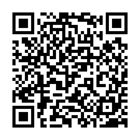 QR code for 333755