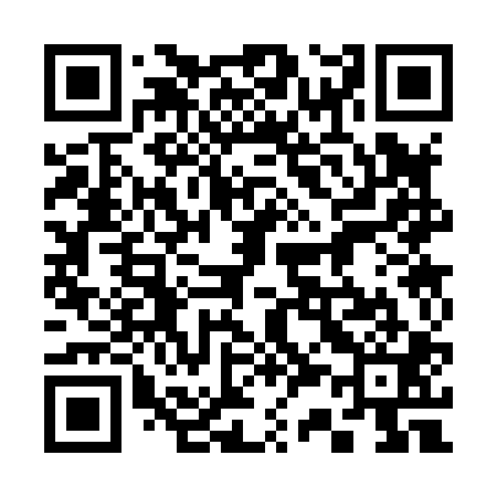QR code for 333801