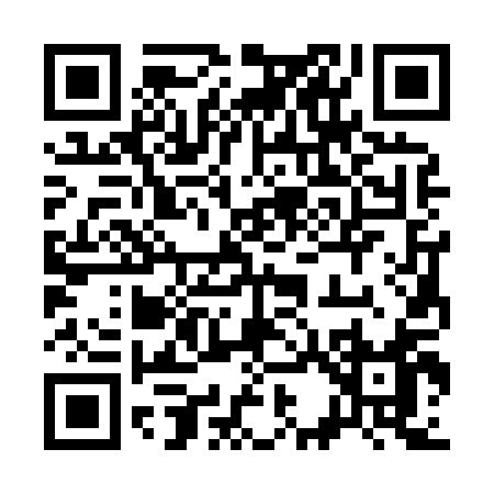 QR code for 33381