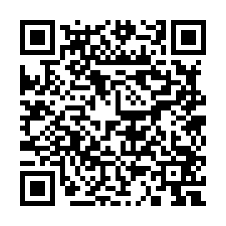 QR code for 3338433