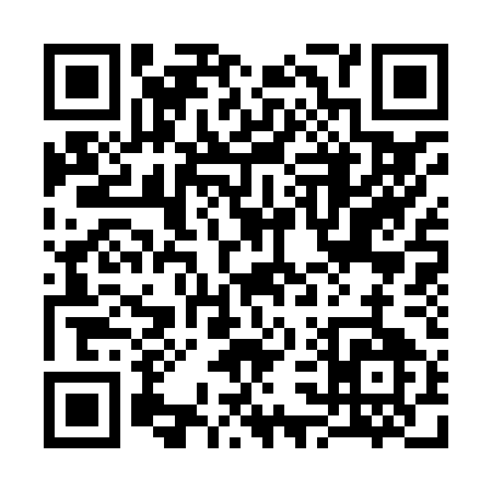 QR code for 33385