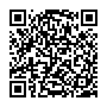 QR code for 333861