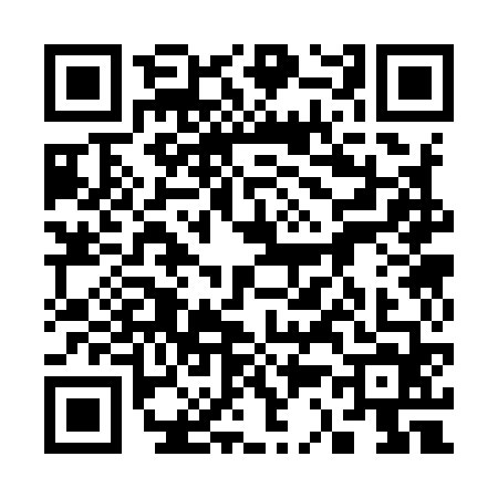 QR code for 3339648