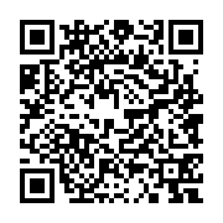 QR code for 3343705