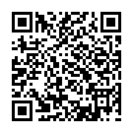 QR code for 33455