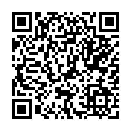 QR code for 33517