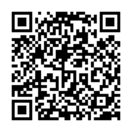 QR code for 335439
