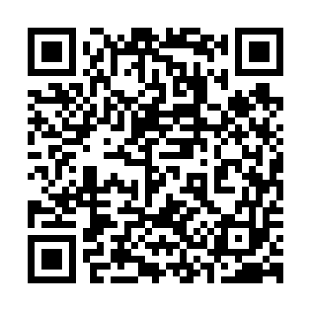 QR code for 335653