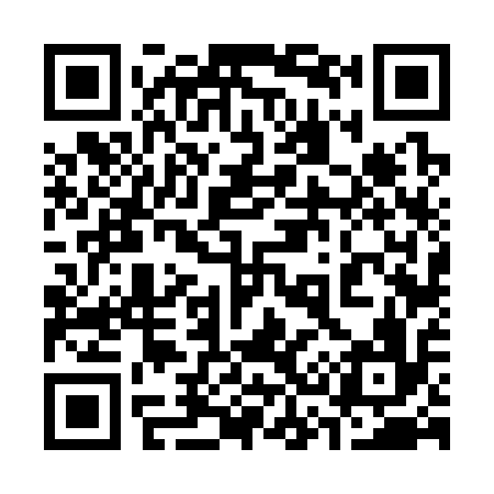 QR code for 336316