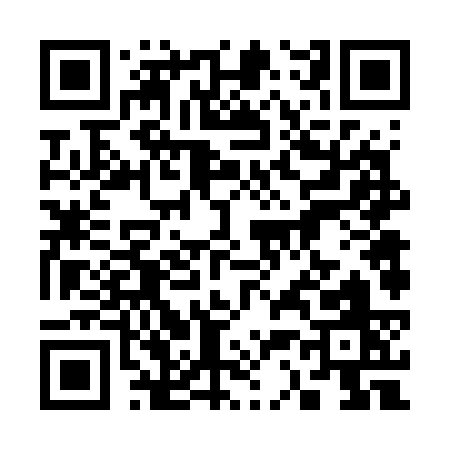 QR code for 33673