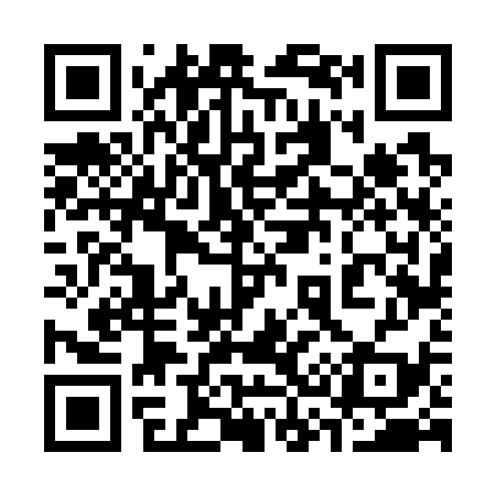 QR code for 336739