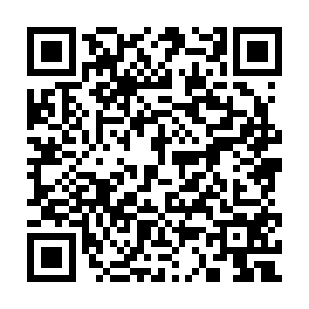QR code for 3382540