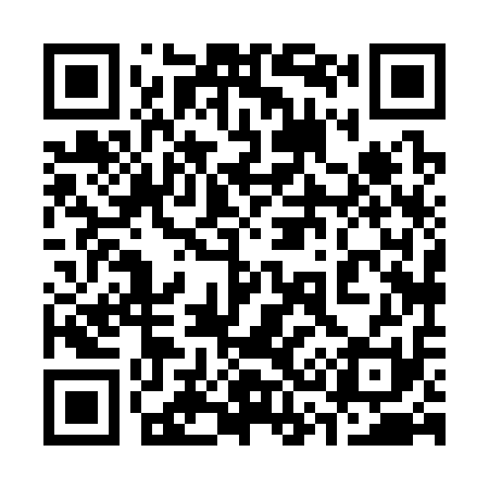 QR code for 338311