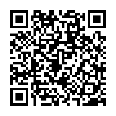 QR code for 3383694