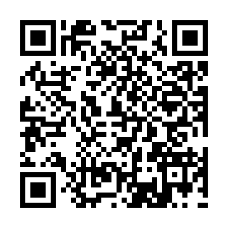 QR code for 3383931