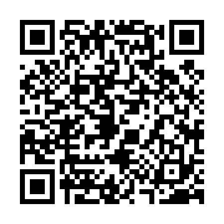 QR code for 3384336
