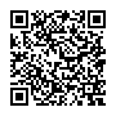 QR code for 3385611