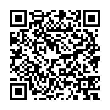 QR code for 3386386