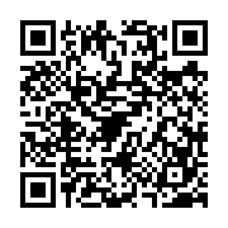 QR code for 3386665