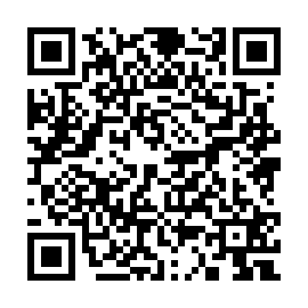 QR code for 3387215