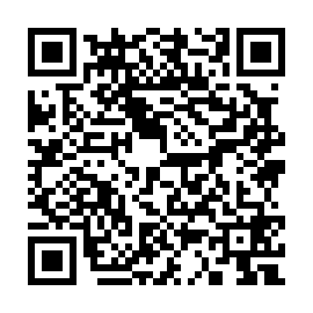 QR code for 3390686