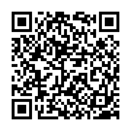 QR code for 339133
