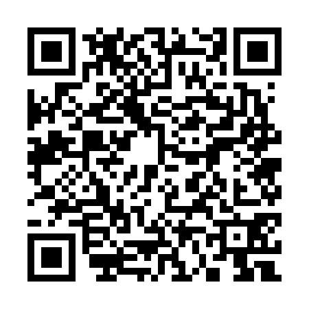 QR code for 3676705