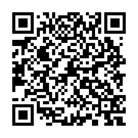 QR code for 368333