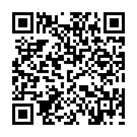 QR code for 368811