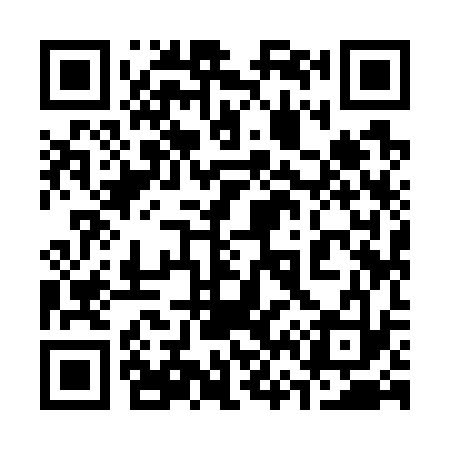 QR code for 369733